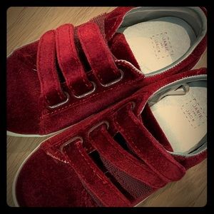 Red velvet sneakers